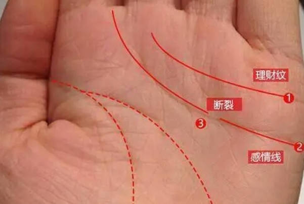如何通过女人的手相看生几个孩子，有相关图片解释吗？