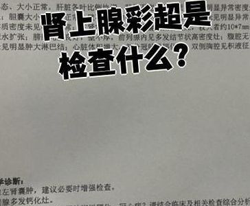 46岁还剩多少卵子：做试管前必须看清的4个判断维度