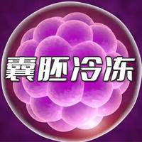 囊胚冷冻