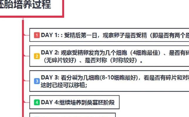 南宁试管医院排名榜我翻了大半年，34岁那年才看懂该看什么