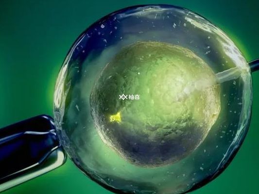 试管怀孕时间从什么时候开始算？34岁小周从验孕棒吵到B超室