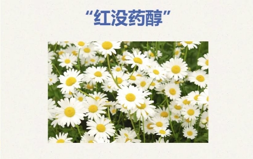 红没药醇孕妇