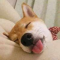 试管婴儿交流群用户头像
