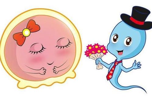 美国试管婴儿多少人民币？与泰国价差30万，贵在哪里一眼看穿