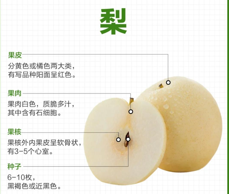 每天吃梨的十大好处：简单水果，健康大收获！