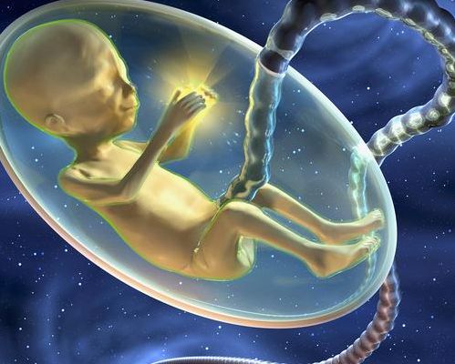 移植失败后多久可以二次移植囊胚？先看子宫和内膜恢复情况