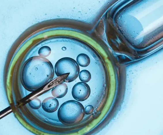 移植个数和胚胎质量有关