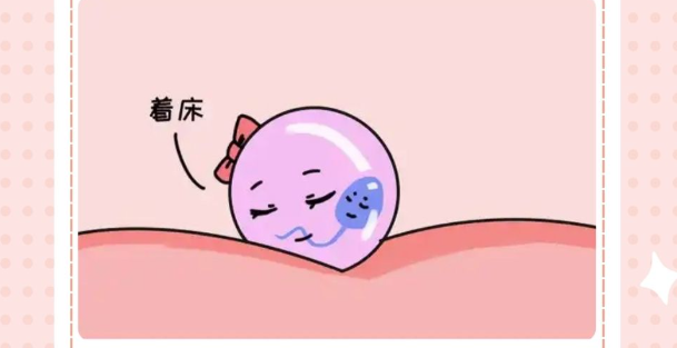 [hcg可判断胎儿发育情况