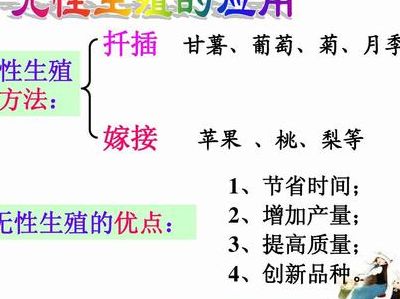 试管婴儿是属于无性生殖吗？2026年医保落地后要说清这件事