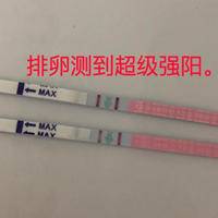 只在强阳同房一次能中吗?理性看待科学备孕