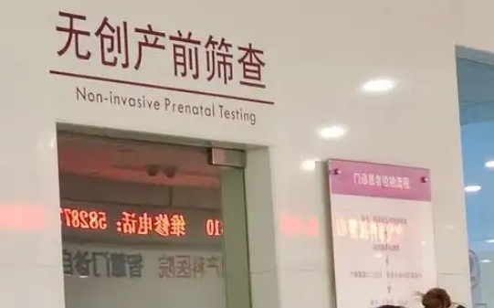 怀孕期间亲子鉴定