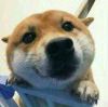 超人头像