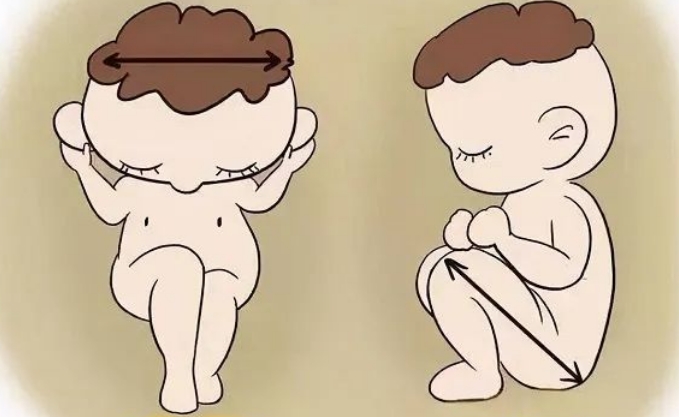 胎儿股骨长标准对照表