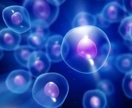 拮抗剂方案卵泡不均是什么原因？