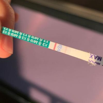 移植后0-14天我像在拆盲盒，肚子抽痛胸胀姨妈感全来了