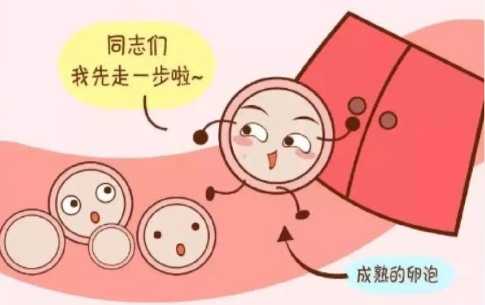 有效防止空卵泡的发生