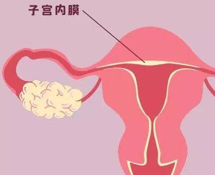 女性子宫内膜厚度不达标可以做*试管婴儿吗？
