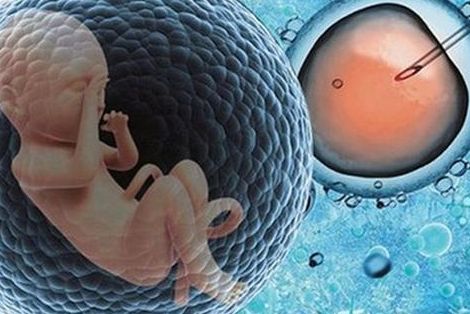 二代试管成功率高吗？2026年新颖数据和医保变化要看清