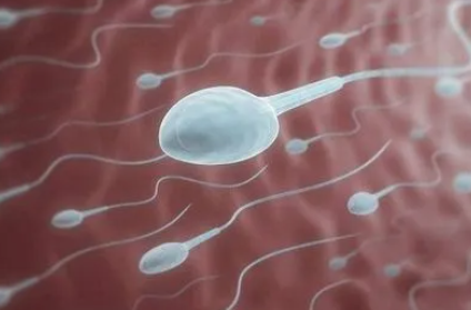 精子质量标准是什么，做试管对精子有什么要求