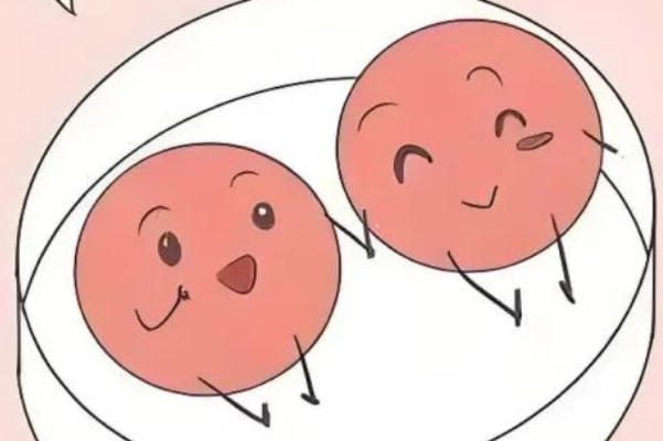 试管一管2个不一定一起解冻