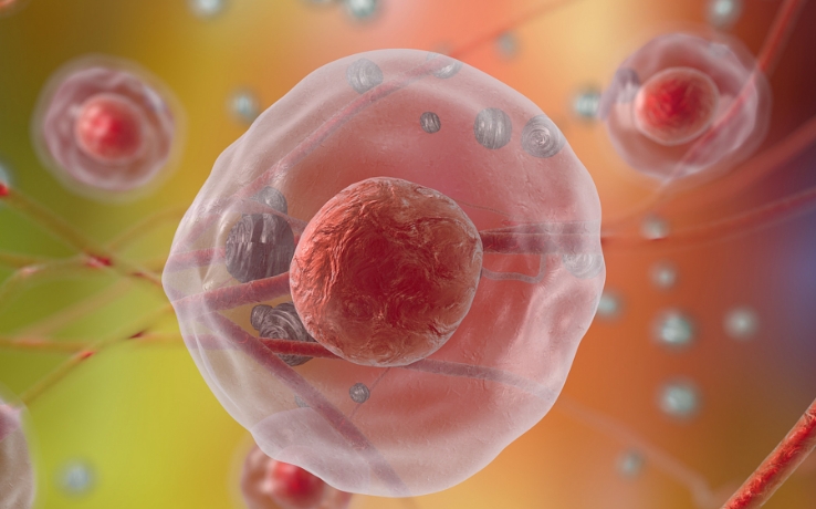 试管取卵只取到8个