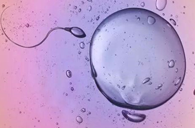 移植后没成功的胚胎去哪儿了?
