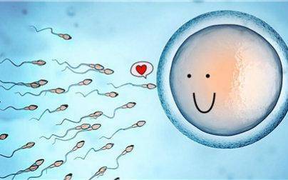 移植不成功胚胎去哪了