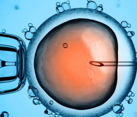 精子质量差可以做二代试管