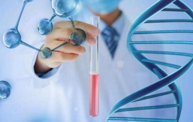 染色体检查结果有效期 染色体检查结果有效期