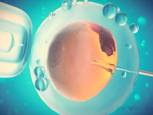 胚胎质量问题会影响移植成功率