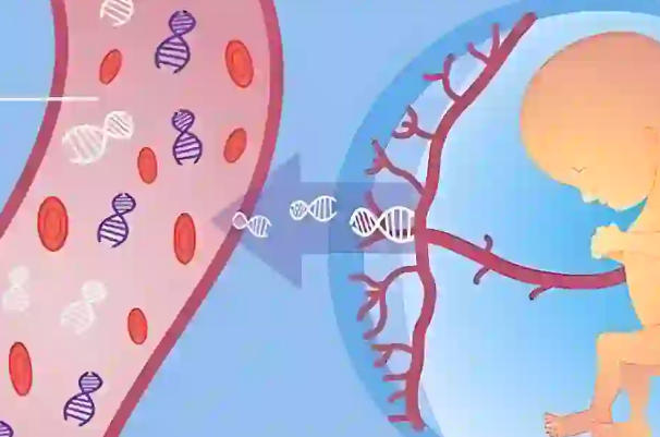 无创dna报告中不显示胎儿性别
