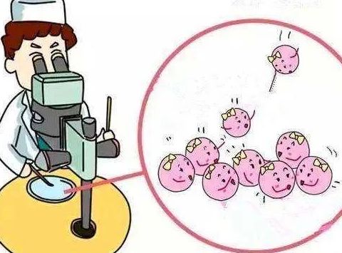 西囡医院试管婴儿成功率到底靠不靠谱？4个判断维度帮你看清