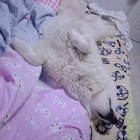试管婴儿交流群用户头像