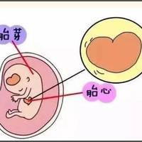 b超孕囊三个数据怎么看，一文了解判断妊娠预后的关键依据
