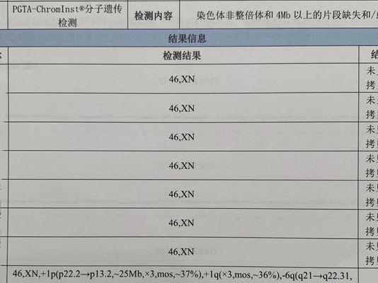 试管胚胎级别怎么看？三步读懂报告上的数字和字母