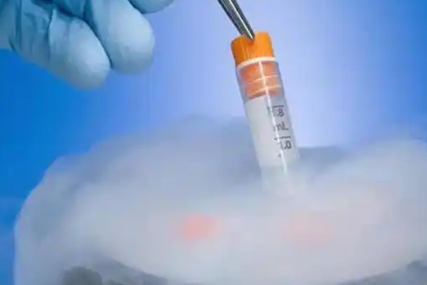 年龄会影响冻囊胚移植的成功率