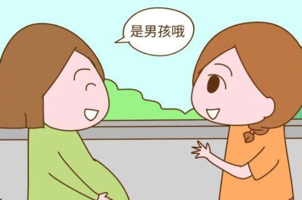 头臀长与胎儿性别无关