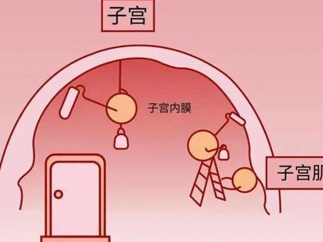 内膜厚能试管婴儿吗？答案可能和你想的不一样