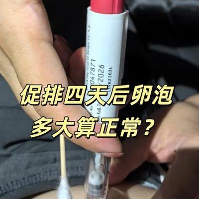 保胎针打多久稳定？黄体酮快效补缺 vs HCG慢调促分泌，选错白熬几周