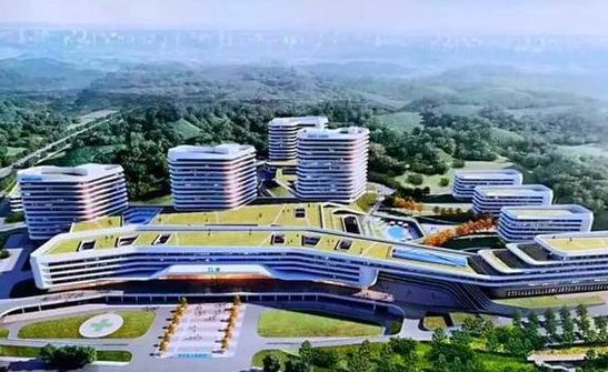 成都优质的试管婴儿医院在哪里？先看这三步再挂号