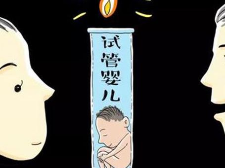 山大生殖试管婴儿流程：我总结的5个判断维度