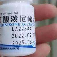 醋酸泼尼松片与备孕：作用与安全指南