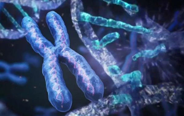 6号染色体异常做几代试管才能避免遗传?
