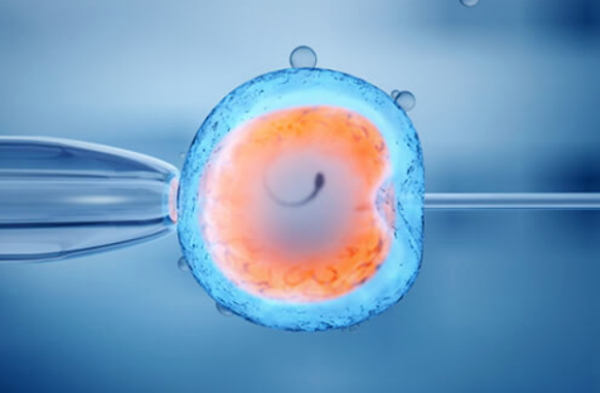试管一级胚胎不着床的原因是太优秀?