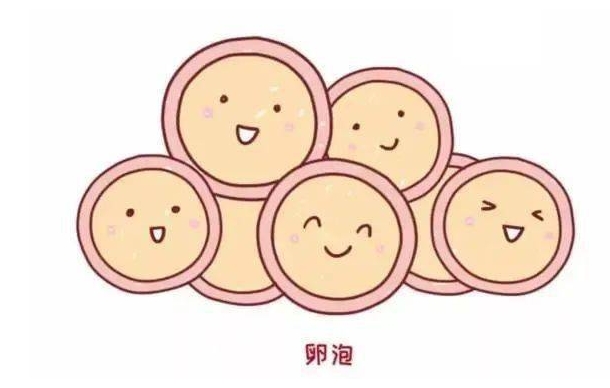 试管婴儿降调针卵泡大小不一致