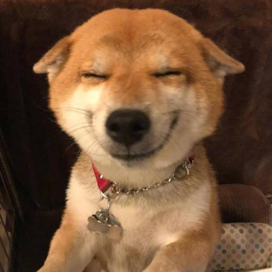 嘻嘻嘻头像