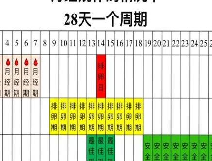 不排卵能不能怀孕?5个判断维度告诉你答案