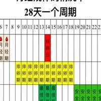 不排卵能不能怀孕？5个判断维度告诉你答案