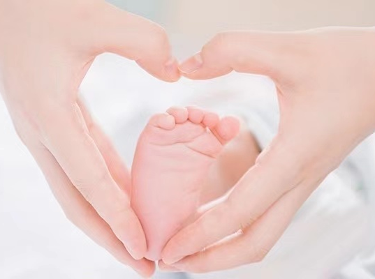 高龄女性试管婴儿：GnRH拮抗剂方案VS高孕激素状态促排卵方案哪种更好？