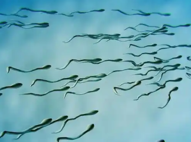 男性需要挂生殖医学科进行检查